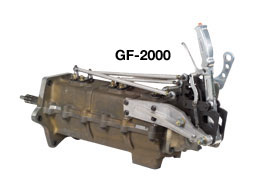 GF-2000